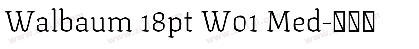 Walbaum 18pt W01 Med字体转换
